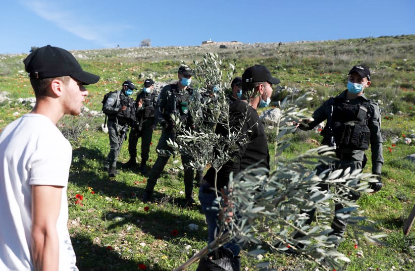  Israeli security forces surround Palestinians and peace activists after trying to plant olive trees in the Palestinian village of Burin, near the West Bank city of Nablus, February 12, 2021. (photo credit: FLASH90)