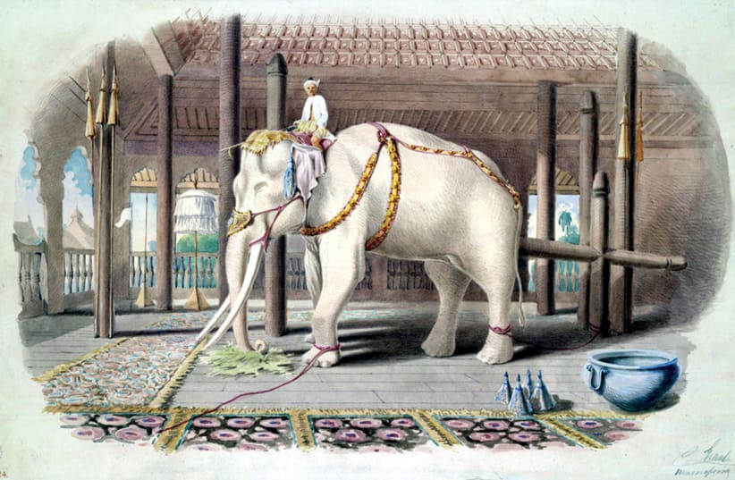  A white elephant at the Amarapura Palace (Colesworthey Grant - A Series of Views in Burmah taken during Major Phayre's Mission to the Court of Ava in 1855). (photo credit: WIKIPEDIA)