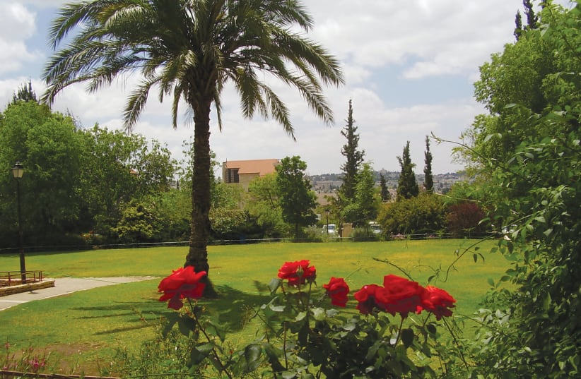  WILL TALBIYEH'S verdant Rose Garden be the site of a cafe? (photo credit: Wikimedia Commons)