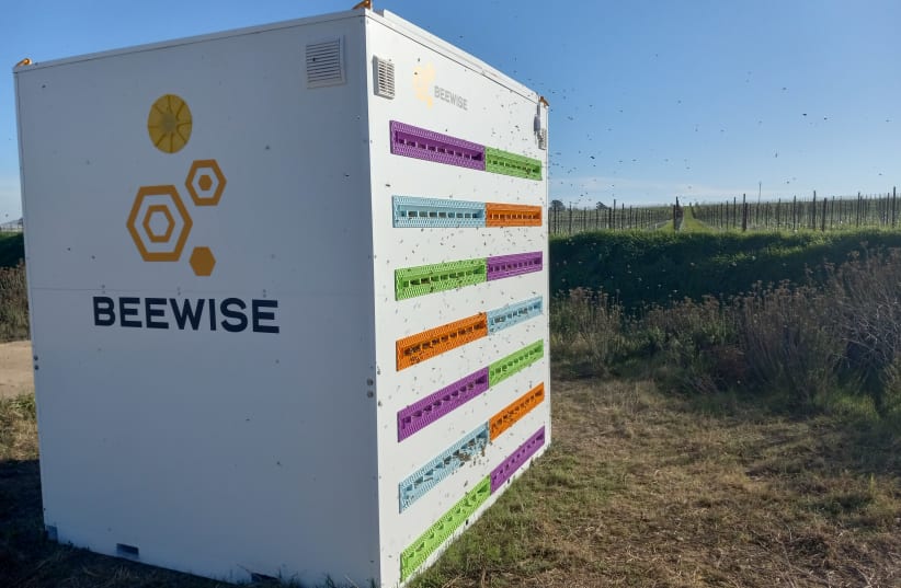 Beewise's Beehome in the field (photo credit: BEEWISE)