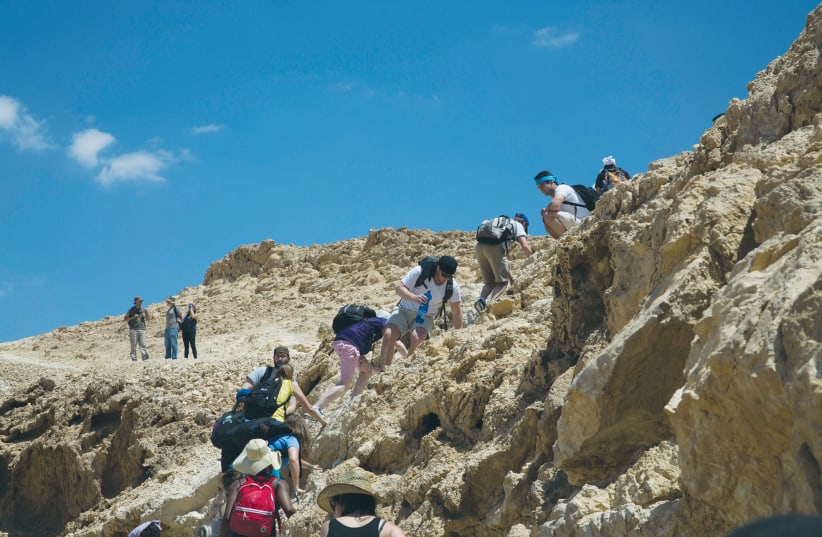  HIKERS FROM the Diaspora explore Israel. There is a missing link in the individual-people-land relationship.  (photo credit: SARAH SCHUMAN/ FLASH90)