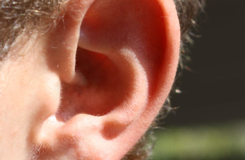  Closeup of a human ear (photo credit: Under-Vic/Wikimedia)