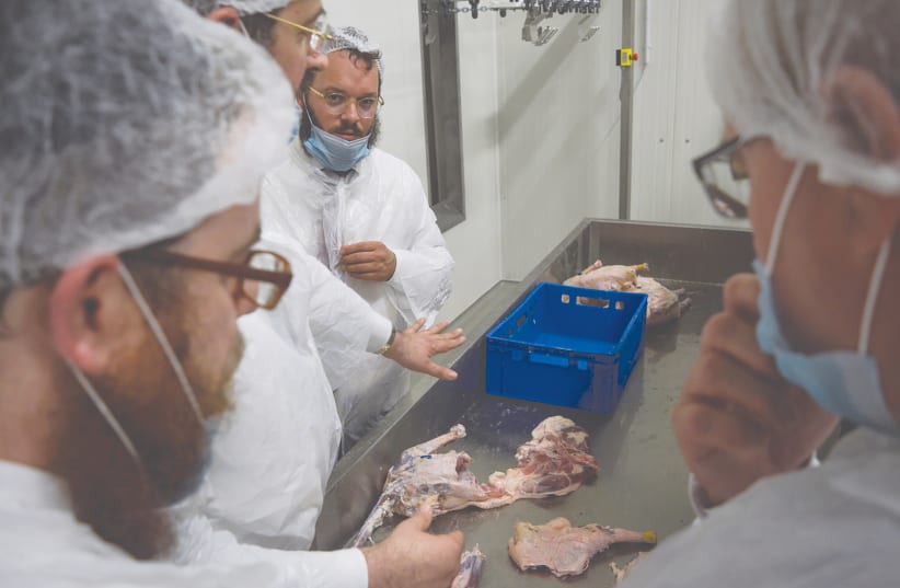  RABBIS EXAMINE the production line at Quality Poultry KFT in Csengele, Hungary.  (photo credit: ZSOLT DEMECS)
