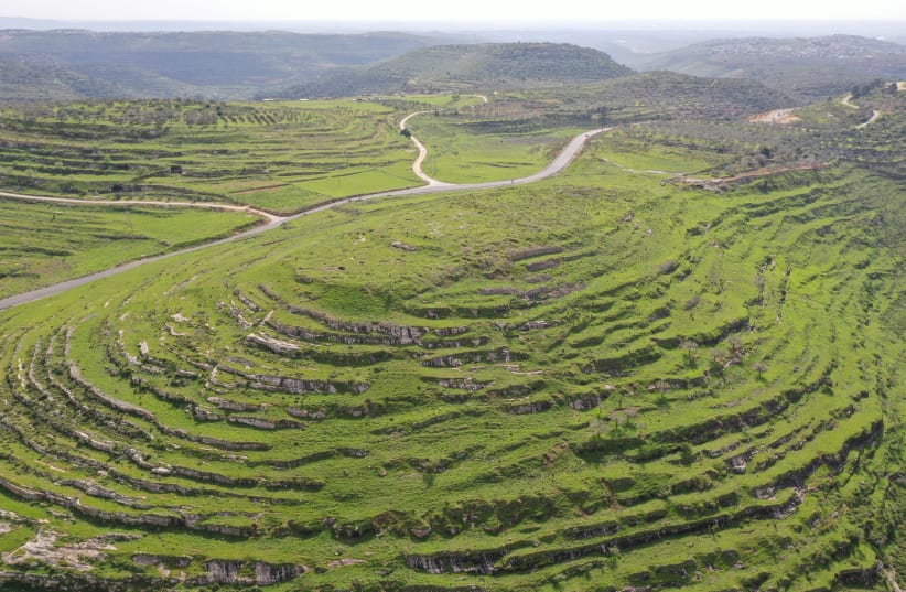  Landscape of Tel Tibneh (photo credit: YORAM HOFMAN)