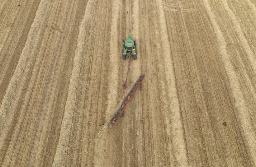  An ariel view shows a farmer harvests wheat with a machine in central Israel, April 20, 2022.  (photo credit: MATANYA TAUSIG/FLASH90)