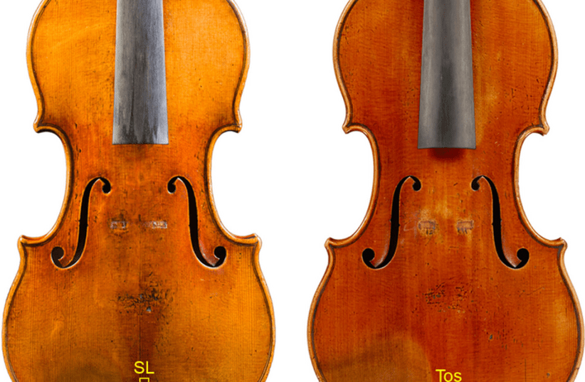 A highly precise, nanometer-scale imaging technique revealed a protein-based layer between the wood and the varnish coating of these two Stradivarius violins. (photo credit: Analytical Chemistry  journal)