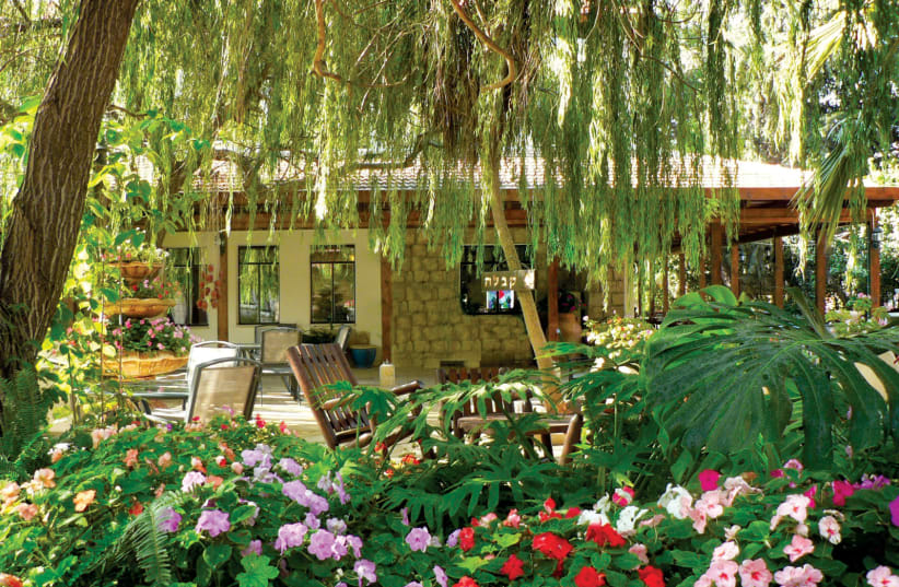  A willow tree shades the charming garden at Beit Shalom (photo credit: IRIT HOD)