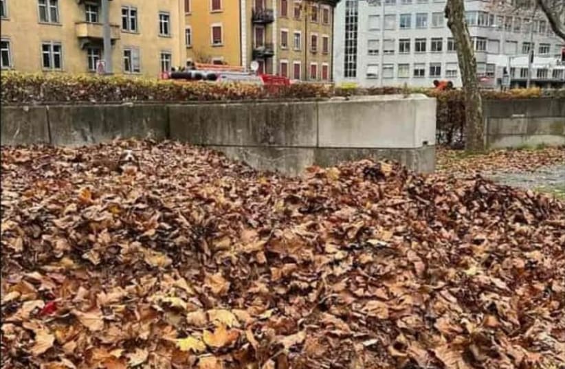  Can you find the dog hiding in this leaf pile? (photo credit: VIA MAARIV ONLINE)