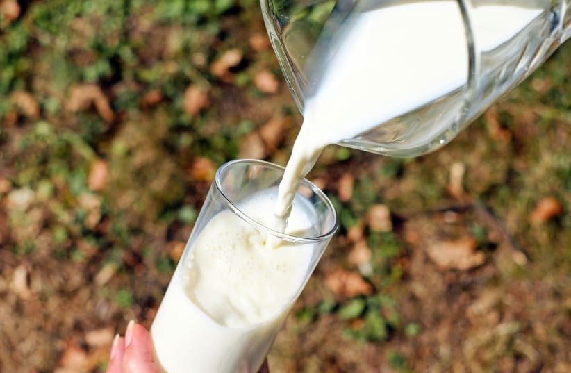 Milk poured in a glass (illustrative) (photo credit: PXHERE)