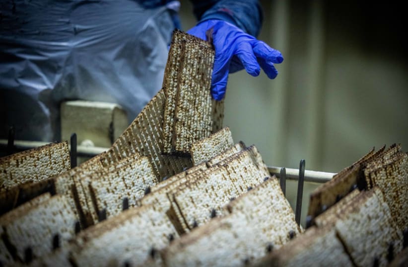  Workers prepare matza, traditional unleavened bread eaten during the 8-day Jewish holiday of Passover, in "Yehuda Matzos" Plant in Jerusalem March 29, 2023. (photo credit: YONATAN SINDEL/FLASH90)