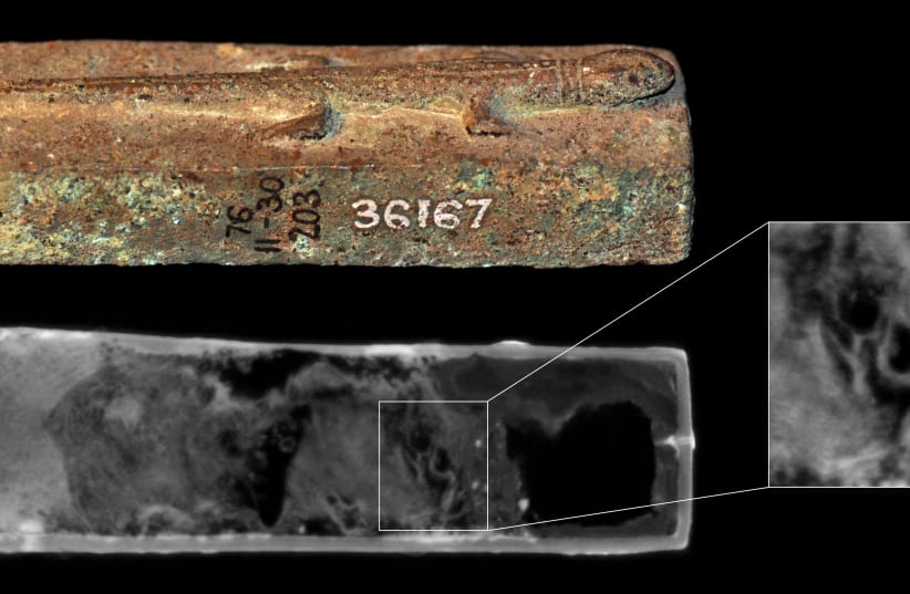   Animal coffin EA36167, surmounted by a lizard figure. Neutron imaging shows a lizard skull (inset). (photo credit: The Trustees of the British Museum and O’Flynn et al.)