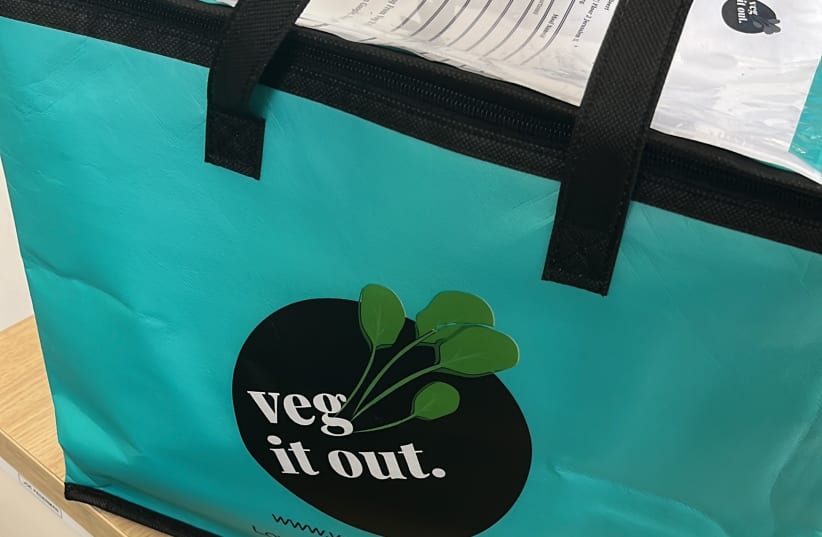  Veg It Out: Vegan food made easier (photo credit: Shira Silkoff)