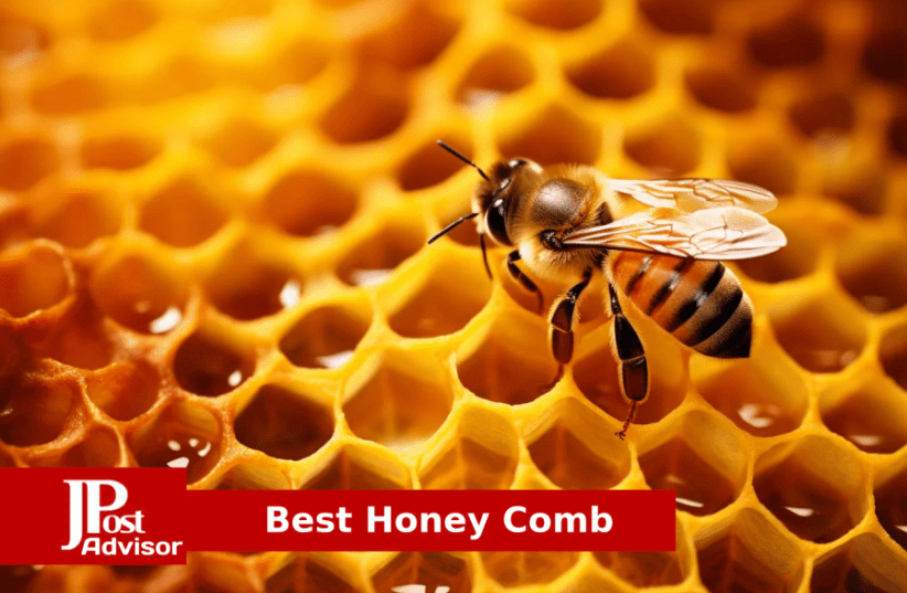 Best Honey Comb for 2024 - The Jerusalem Post