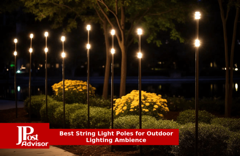 2 Pack Outdoor String Light Poles Stand Poles for Hanging Outside