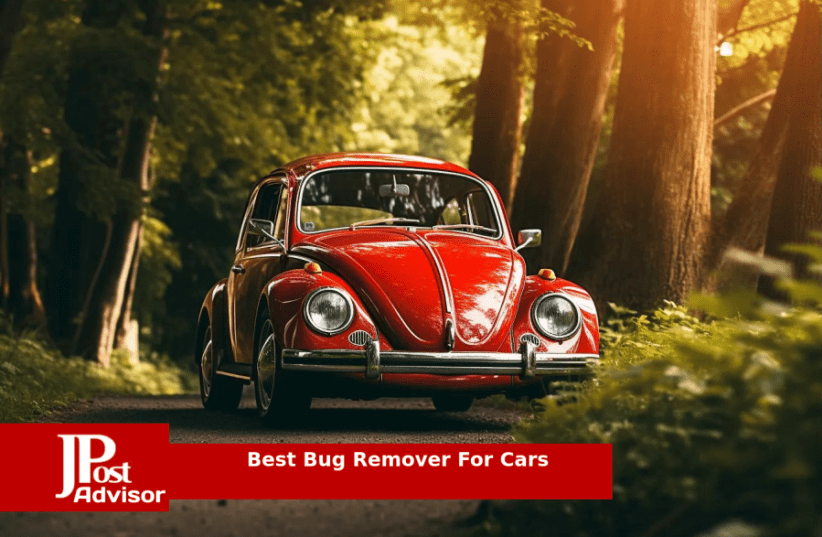 Best Bug and Tar Remover for Cars - The Tech Edvocate
