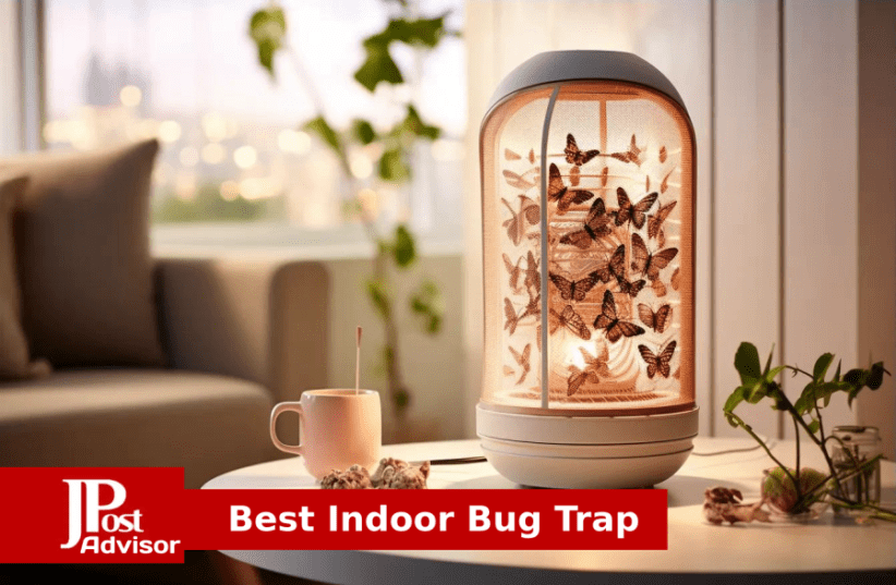Black Flag Window Fly Trap Catches All Flying Insects 4 Traps