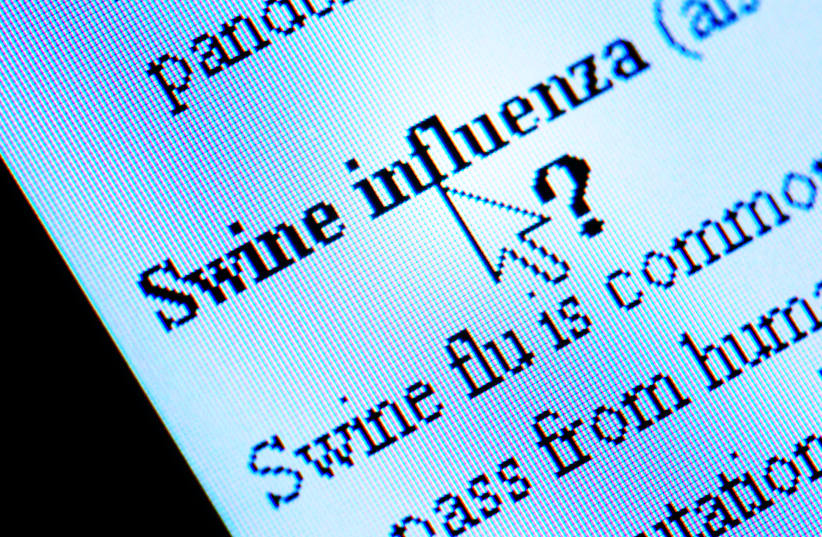  Swine flu illustrative (photo credit: INGIMAGE)