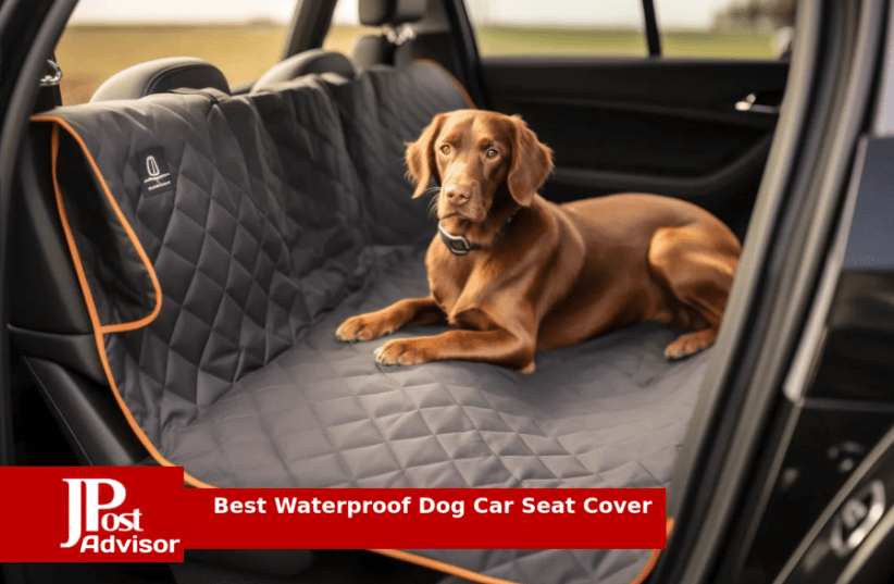 iBuddy Dog Seat Covers for Trucks 100% Waterproof Dog Hammock for Truck  Back Seat Durable X-Large Dog Seat Cover Against Dirt and Dog Fur Machine