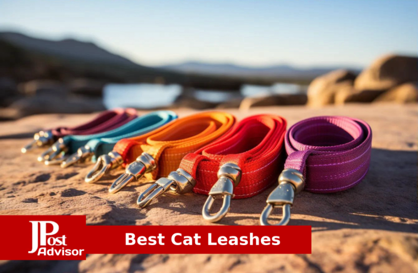 10 Most Popular Cat Leashes for 2024 - The Jerusalem Post