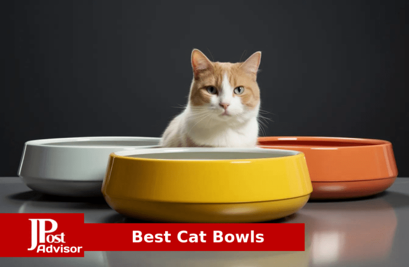 2 Cat Elevated Raised Cat Food Bowl & Water Bowls Food Water Dishes White  Black