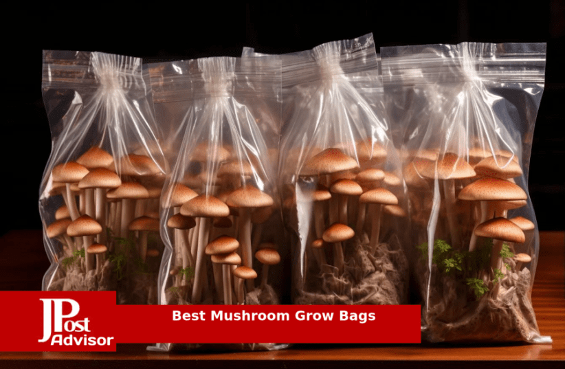 Best Mushroom Growing Containers