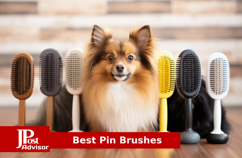 10 Best Brush Cleaners Review - The Jerusalem Post