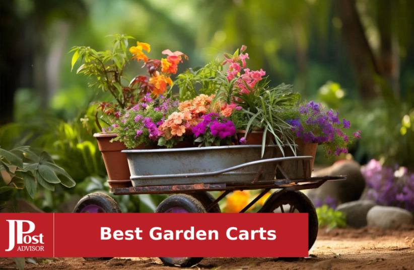 10 Best Garden Carts for 2023 - The Jerusalem Post
