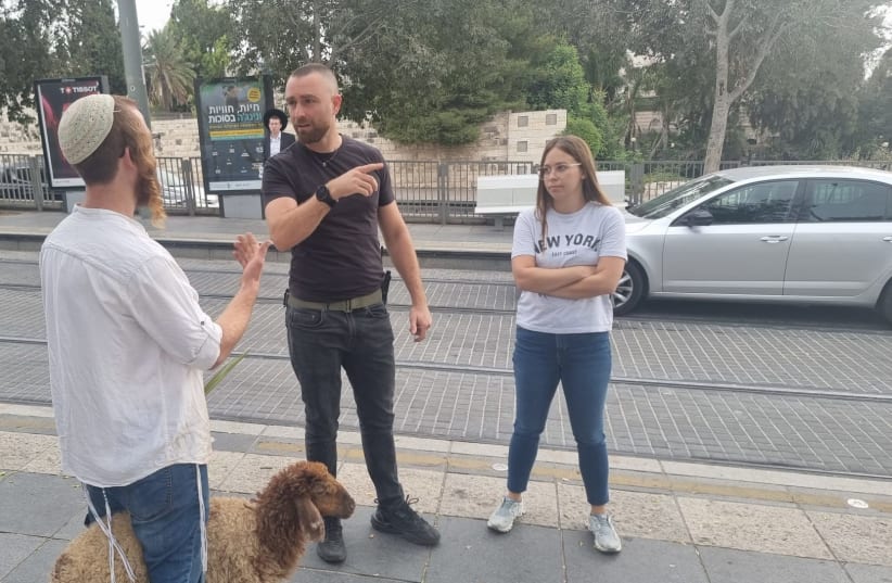 A religious activist attempting to sacrifice sheep on the Temple Mount is confronted by passers-by on October 1, 2023 (photo credit: CHOZRIM L'HAR)