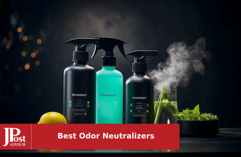 10 Best Odor Eliminators of 2024
