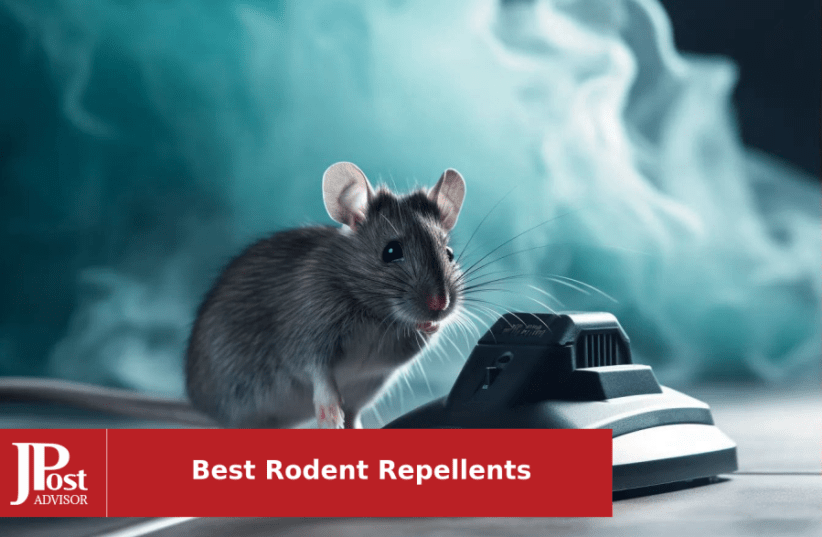 5 Best Ultrasonic Pest Repellers in 2023: That Actually WORK