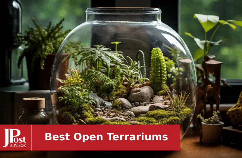 Glass Open Terrarium with DIY Stand (Including Care and a List of