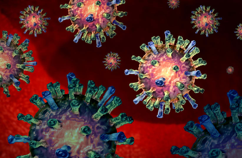 Measles virus cells concept as microscopic infectious disease inside a human body (illustration) (photo credit: INGIMAGE)