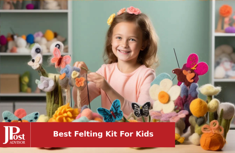 Craft Kit for Adults, Needle Felting Kit for Beginners, DIY Kits for Adults,  Owl Felting Kit, Wool Felting Kids Kit, Christmas Gift for Kids 