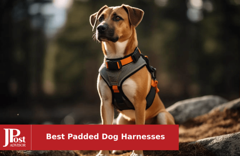 Service Dog Harness Vest 6 Girth Extension Strap