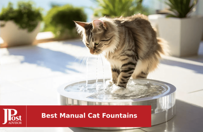 Calming Dog Pet Water Fountain – Dog Water Fountain & Cat Water Fountain with Triple Filtration System, Great Automatic Pet Fountain, 2.4L (81oz)