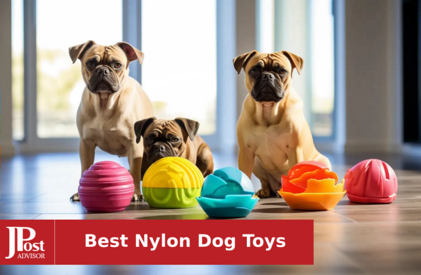 10 Best Nylon Dog Toys For 2024 The