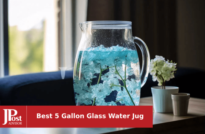 The best gallon water bottles in 2023
