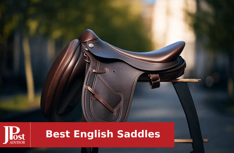 Best English Saddle Brands: Top Picks for Riders