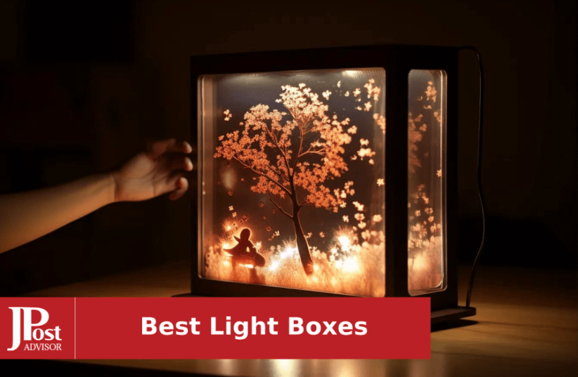 The Best Photo Light Boxes of 2024