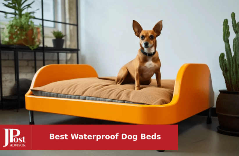 Deluxe Mattress Dog Bed - Indoor/Outdoor Oxford