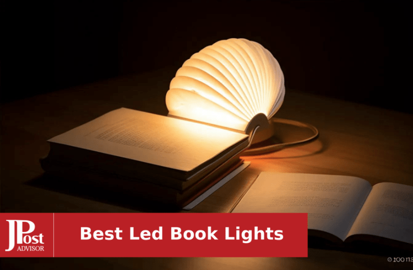 The 4 Best Reading Lights of 2024