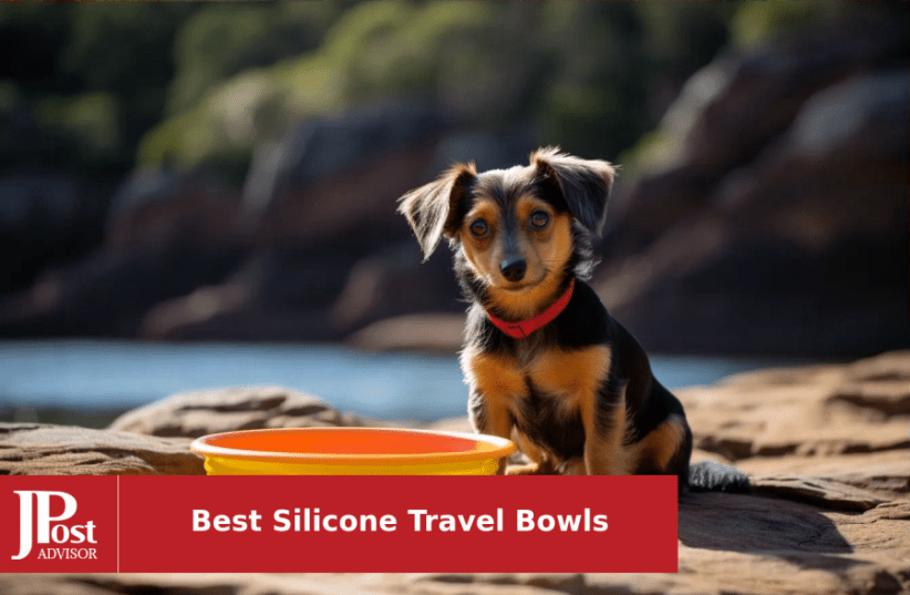 Silicone Collapsible Portable Bowl Travel Outdoor Activities Folding Bowl  Portable Water Cup And Bowl Retractable Outdoor Tool