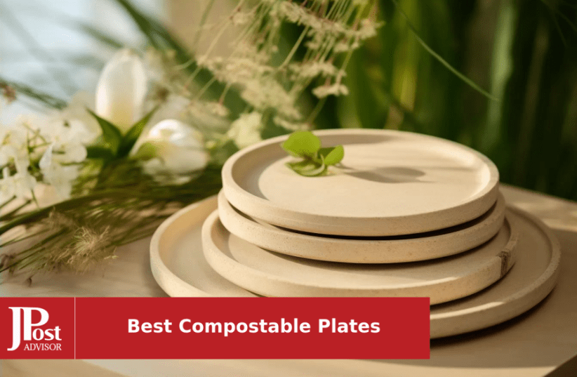 250pcs Compostable Paper Plates Set, Biodegradable Plates Heavy