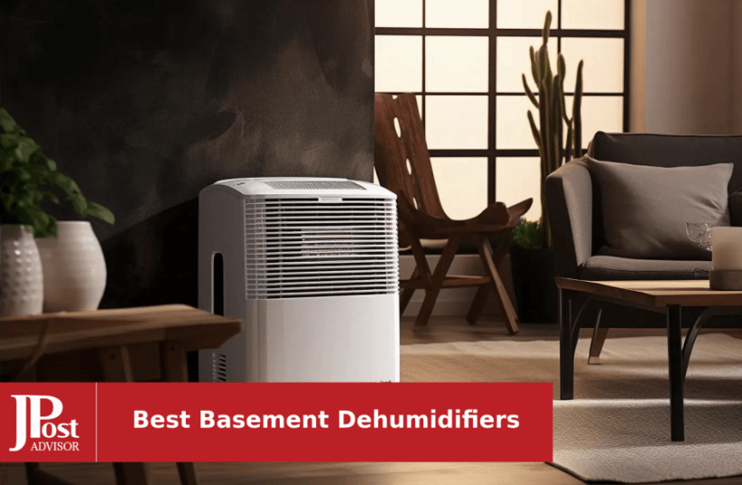The 7 Best Dehumidifiers in 2023 - Dehumidifiers for Basements