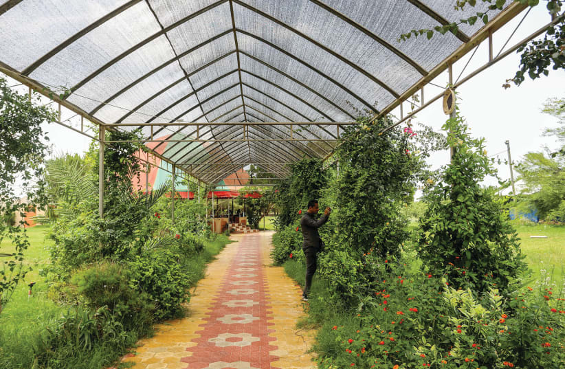  REBUILD OUR greenhouses: In the former Gush Katif, 2020.  (photo credit: FLASH90)