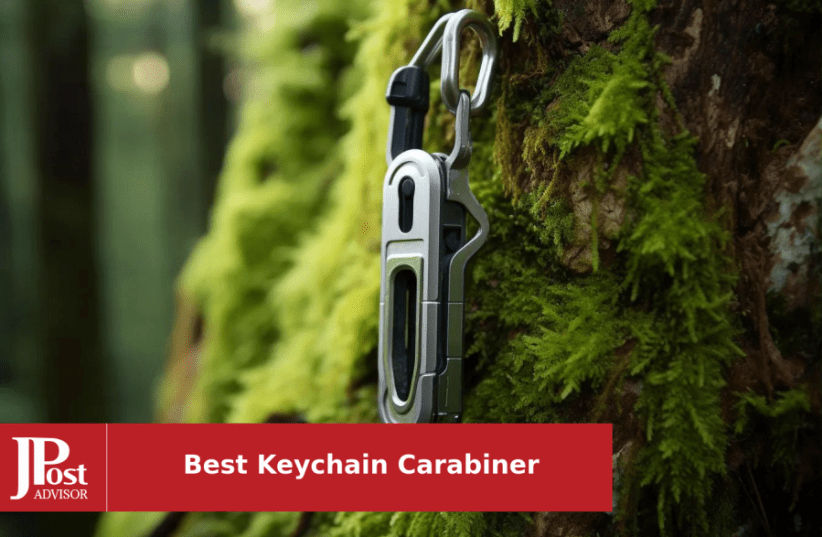 10 Best Keychain Carabiners for 2024 - The Jerusalem Post