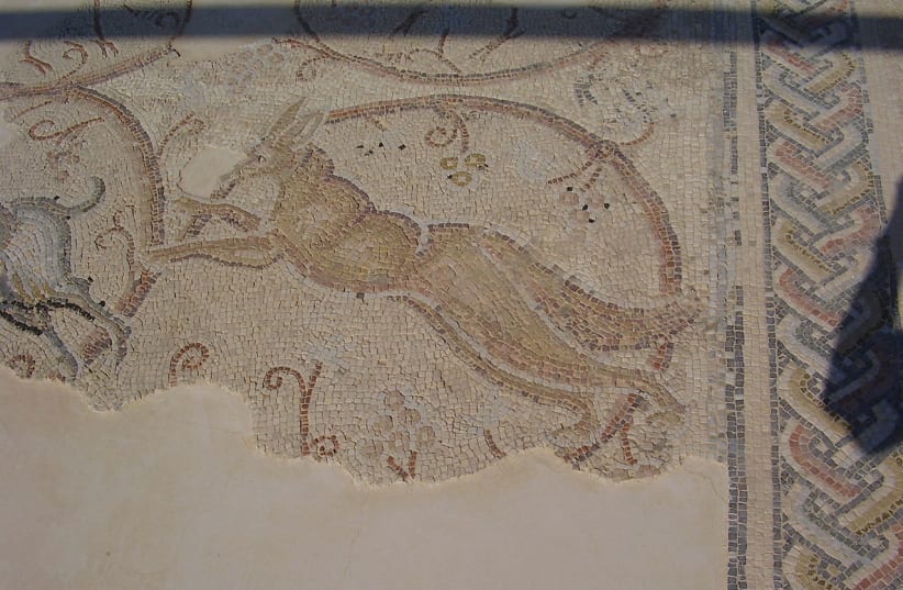  Floor mosaic from the ancient synagogue in Gaza (photo credit: AVISHAI TEICHER/WIKIPEDIA)