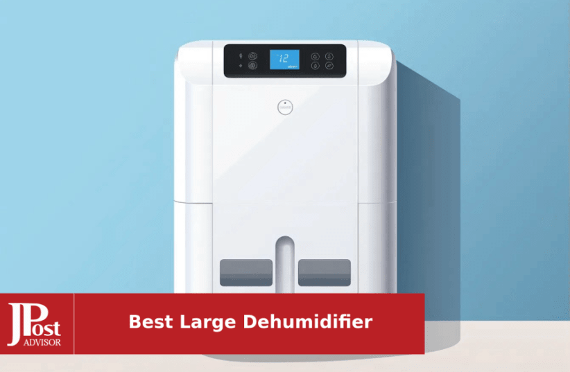 hOmeLabs 3500 Sq. Ft. Energy Star Dehumidifier with Pump - Ideal for Medium  to Large Rooms and Home Basements - Powerful Moisture Removal and Humidity