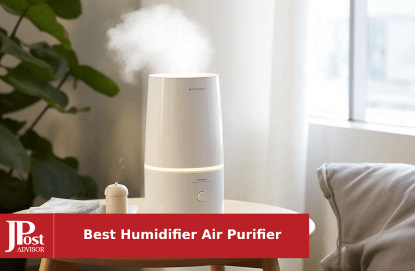 WindaClear Humidifier and Air Purifier - Vysta Home