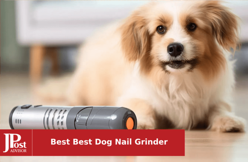 The best dog nail grinders of 2023
